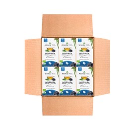 Miracle Tree - 6 Count of Organic Moringa Superfood Tea, 25 Individually Sealed Tea Bags, Blueberry (Keto, Detox, Energy/Immunity Booster, Vegan, Gluten-Free, Organic, Non-GMO, Caffeine-Free)