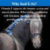 SU-PER E-Se Horses Antioxidant Supplement - Vitamin E & Selenium