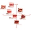 PUCCÚ Color Lip Serum, 005, Bloody Mary Vive, Pucu Lip
