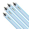 Helios 4PCS T6 Bulb, Replacement for F30T8 30W 36" T8 Fluorescent Lamp Light Bulb Daylight Pink Blue (Actinic O3 Blue)