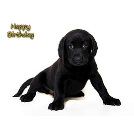 Black Labrador Birthday Card