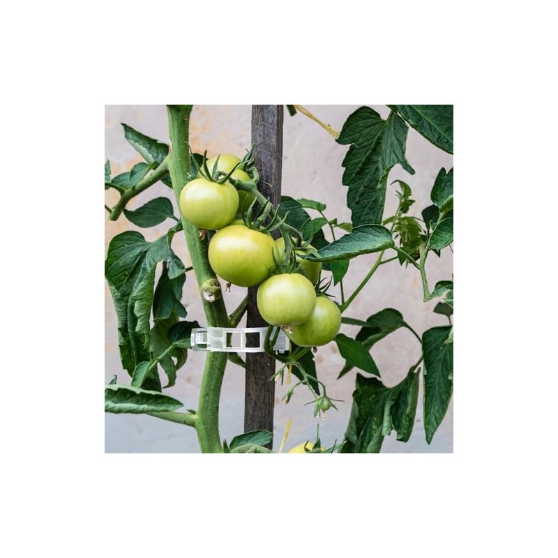 200 Durable Plant Support Clips for Your Garden Needs