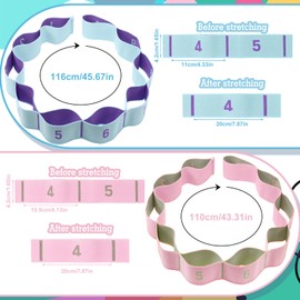 Guiqulai 2 Pcs Stretch Strap, Elastic Yoga Stretching Strap Stretch Bands for Exercise Multi-Loop Pilates Resistance Bands for Physical Therapy, Pilates, Yoga, Dance, Gymnastics Exercise