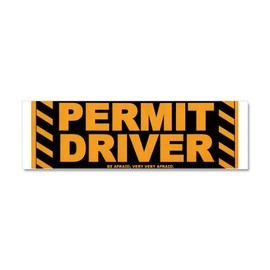 CafePress Car Magnet 10 X 3 Car Magnet 10" x 3", Bumper Magnet