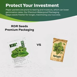 Heirloom Viroflay Spinach Seeds for Planting - 500 Seeds - Heirloom, Non-GMO, USA Grown, Premium Waterproof Protective Packaging by RDR Seeds