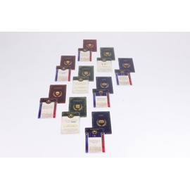 Chip Theory Games Hoplomachus: Victorum Solo Campaign, 1 Player Strategy Board Game for Adults, Teens Ages 14+, Embark on a Hero's Journey