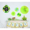 St. Patrick's Day Wooden Wall Sign - Green Shamrock Decor,