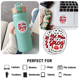 3 Pcs I'm Not A Hot Mess I'm A Spicy Disaster Stickers – Funny Sarcastic Quote Decals for Tumbler, Water Bottle, Laptop – Humorous Gift for People Who Embrace Their Chaos – 3"x3"