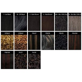 Shake N Go Freetress Drawstring Ponytail - California Girl #1