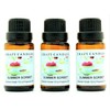 Crazy Candles Summer Sorbet 3 Bottles 1/2 Fl Oz Each (15ml) Premium Grade Scented Fragrance Oil (Tangerine, Orange, Peach, Watermelon, and Strawberry Aroma)