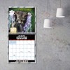 2021 Cat Wars 16-Month Wall Calendar