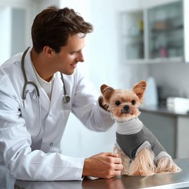 Avont Dog Recovery Suit, Surgery Shirt for Female Spay Male Neuter Skin Conditions, Surgical Onesie Bodysuit Prevent Licking Dog E Collar Cone Alternative -Grey (XS)