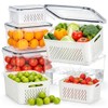 HOMETALL 4 Pack Fruit and Vegetable Storage Containers