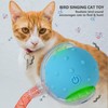 Kavsgdow Interactive Cat Toys Ball for Indoor, Cat Toys Interactive,