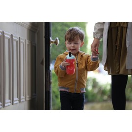 Tommee Tippee Insulated Toddler Straw Sippy Cup, 9-ounce, 12+ months – 1 Count (COLORS WILL VARY)