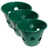 Bloom Master Hanging Baskets - 2 Gallon (3 Pack) -