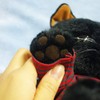 putikopan Plush (Medium) Cat Height 26 cm datoro