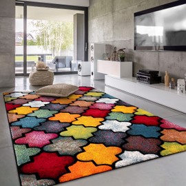 Paco Home Colorful Area Rug with Morrocan Pattern in Multicolor, Size: 2'8" x 4'11"