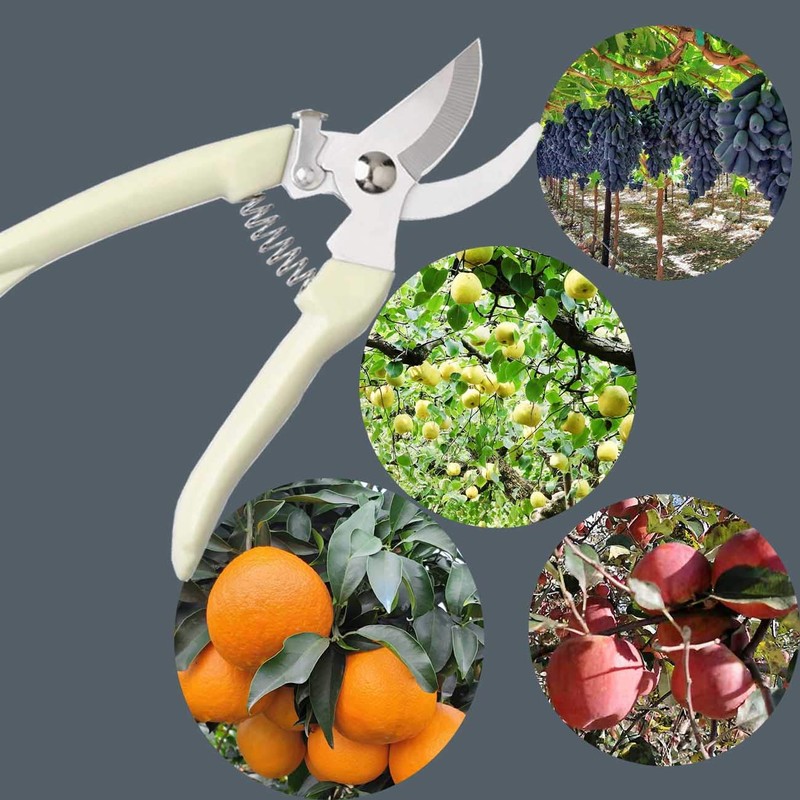 3CR13 Garden Shears farmer florist Pruner For garden picking fruit