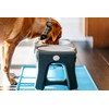 Dexas Pets Adjustable Height Double Pet Feeder, Light Gray