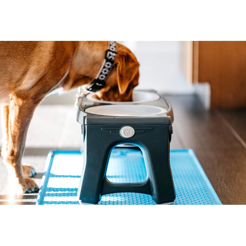 Dexas Pets Adjustable Height Double Pet Feeder, Light Gray