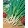 3500+ Long Green Scallion Seeds for Planting, Bunching Long Green