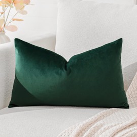 Artscope Luxury Velvet Cushion Covers Super Soft Decorative Throw Pillow Covers Case Lumbar Cushion Cases for Sofa Couch Bedroom Car Decor 30x50cm Army Green