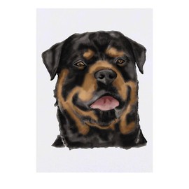 'Rottweiler' Temporary Tattoo - Water Resistant, Skin-Safe, Non-Toxic Transfer (TO00049320)