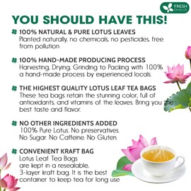 FreshDrinkUS, Premium 75 Lotus Leaf Tea Bags, 100% Natural & Pure from Lotus Leaves. Loose Leaf Lotus Herbal Tea. Made with Eco-Conscious Tea Bags. No Sugar, No Caffeine, No Gluten, Vegan.