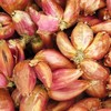 Birch & Meadow Freeze-Dried Shallots, 1.6 oz, Sauces & Marinades,