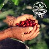 Julius Meinl: "Espresso Arabica," Medium Roasted Coffee Beans, Premium Collection,