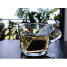 Insiswiner 50 Pcs Empty Tea Bags for Loose Leaf Tea, Coffee, & Spices With Drawstring Mesh Tea Infuser 2.36x2.75inch