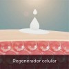 Crema Beohemp De Jojoba 1l | Vegana, Natural Y Biodegradable