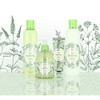 VIVIAN GRAY 1313 Hand Lotion Naturals, Green Tea, Green (30