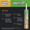 Liquid Nails LN-905 12 Pack Landscape Block Adhesive (Low-VOC), Tan