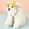 Leap Raupe Dog Hat, Ears, Summer, Pets, Clothes, Cats, Small