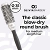 Olivia Garden - Essential Blowout Classic Silver - 35