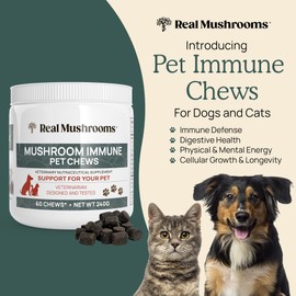 Mushroom Immune Support Pet Chews (60ct) treats for dogs – Immune booster supplements for pets with Ashwagandha, Astragalus, Blueberry, Olive Leaf, Acerola &Gut Health for Dogs and Cats