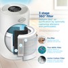 Clorox Medium Room Air Purifier True HEPA Replacement Filter, 1,000