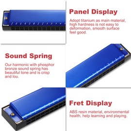 Harmonica Professional Harp Armonica Key of C 24 Hole Polyphony Diatonic Mouth Organ with Case for Blues Folk Jazz Pop for Music Student Teacher Beginner Gift