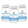 Glicinato De Magnesio 300 Cápsulas, 3 Frascos C/100 Caps Cu