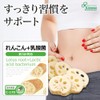 【リプサ公式】 れんこん＋乳酸菌 約3か月分×2袋 C-170-2 食物繊維 【国内製造】