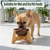 Dog Bowl for Cats and Small Dogs - All-Natural, Polished