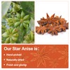 Besway Chinese Star Anise 7 oz, Whole Star Anise, Fresh,
