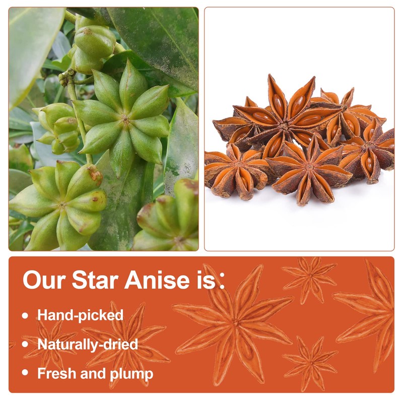 Besway Chinese Star Anise 7 oz, Whole Star Anise, Fresh,