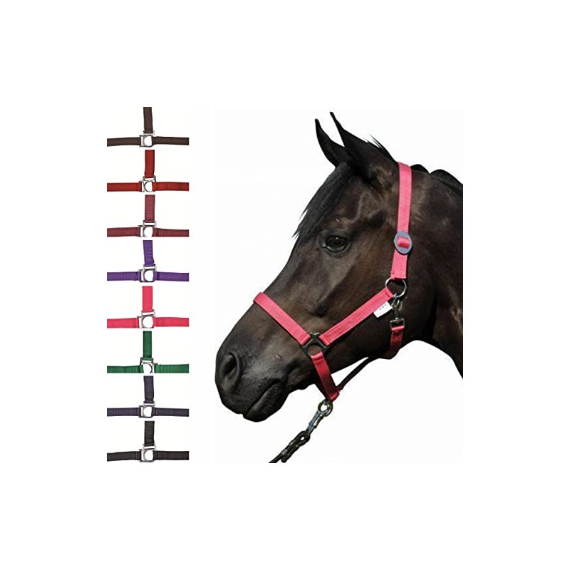 HKM Stars Economy 558551 Headcollar