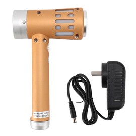 2 in 1 Handheld Infrared Light Wand 650nm Red LED 5 Energy Levels 3 Ultrasound Modes Handheld Infrared Device Gold 100‑240V AU Plug
