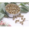 Tupalizy 100PCS 1/4 Inch Small Round Head Map Tacks Pins