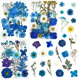 LUCISKY 83 Pcs Blue Pressed Dried Flowers for Resin Molds, Real Natural Flowers Leaves Bulk for Scrapbooking DIY Art Crafts, Epoxy Jewelry Molds, Candle, Soap Making, Nail Crafts