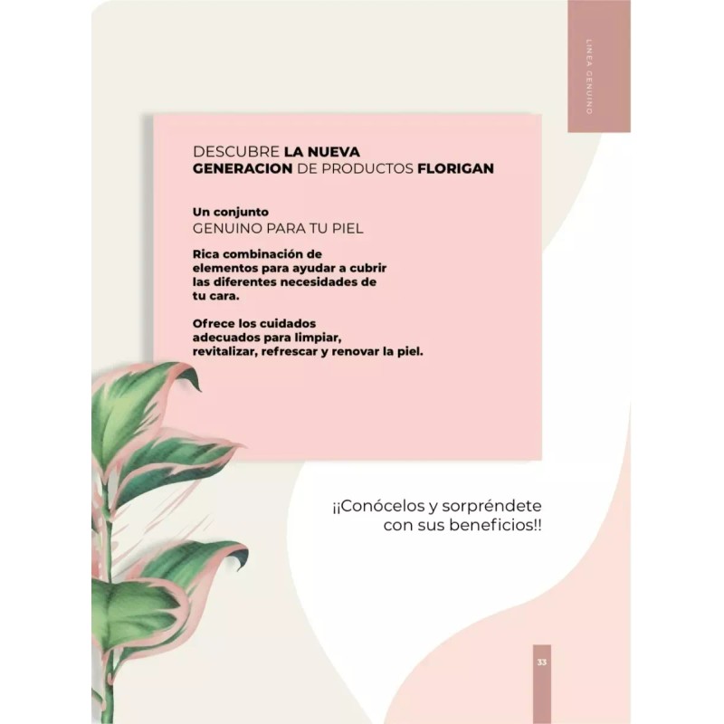 Florigan Repelente De Insectos Menta Y Romero Florigan 250ml.